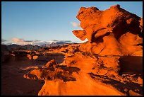 Little Finland, sunset. Gold Butte National Monument, Nevada, USA ( color)