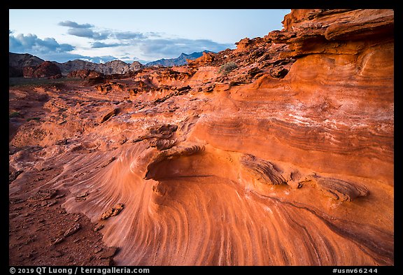 Fins and twirls at sunset, Little Finland. Gold Butte National Monument, Nevada, USA (color)