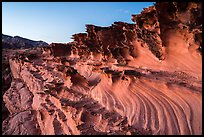 Fins and twrils of weathered sandstone. Gold Butte National Monument, Nevada, USA ( color)