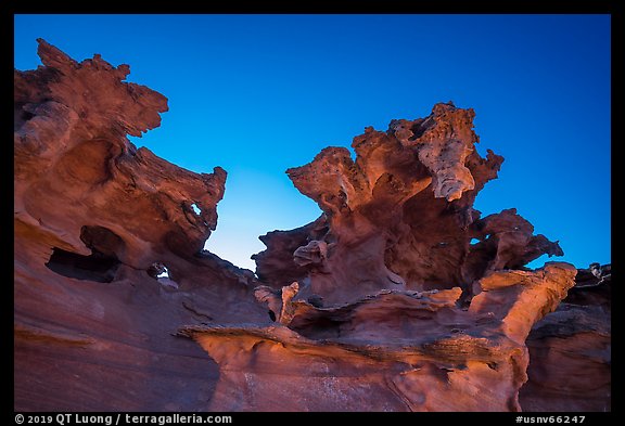 Strange red sandstone formations. Gold Butte National Monument, Nevada, USA (color)