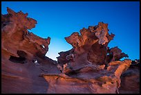 Strange red sandstone formations. Gold Butte National Monument, Nevada, USA ( color)