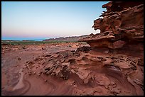 Weathered sandstone formations at dawn, Little Finland. Gold Butte National Monument, Nevada, USA ( color)