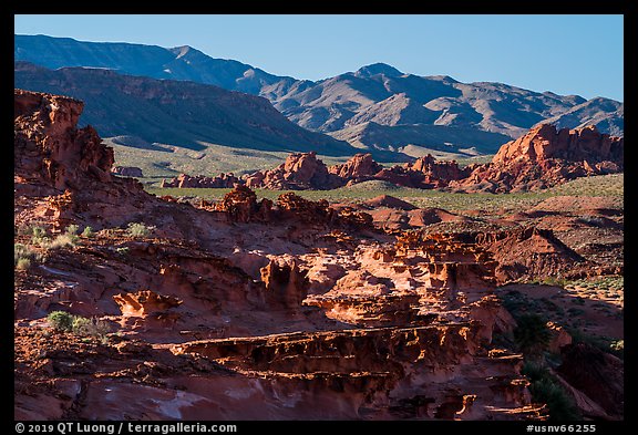 Mesa with eroded sandstone, Little Finland. Gold Butte National Monument, Nevada, USA (color)