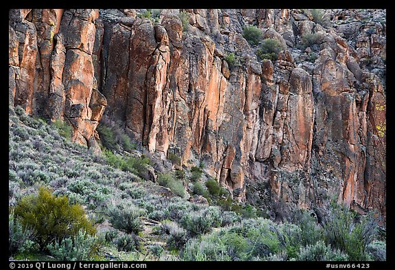 Volcanic rhyolite cliffs, White River Narrows Archeological District. Basin And Range National Monument, Nevada, USA (color)