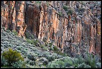 Volcanic rhyolite cliffs, White River Narrows Archeological District. Basin And Range National Monument, Nevada, USA ( color)