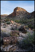 Lichen covered rocks and cliff, White River Narrows Archeological District. Basin And Range National Monument, Nevada, USA ( color)