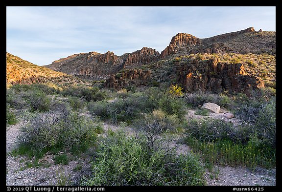 White River Narrows Archeological District. Basin And Range National Monument, Nevada, USA (color)