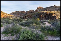 White River Narrows Archeological District. Basin And Range National Monument, Nevada, USA ( color)