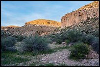Cliffs at sunset, White River Narrows Archeological District. Basin And Range National Monument, Nevada, USA ( color)