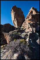 Ash-fall tuff rock towers. Basin And Range National Monument, Nevada, USA ( color)