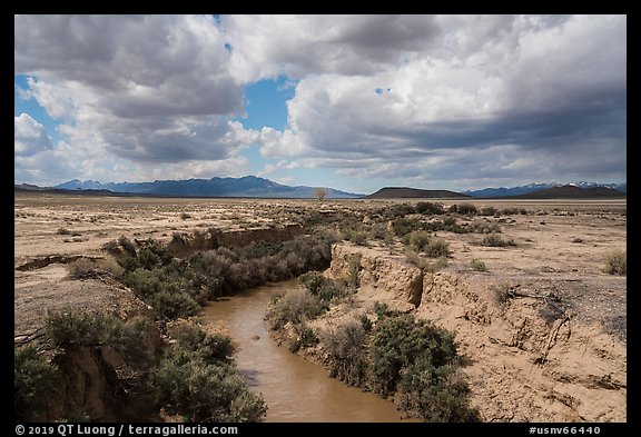 Eroded river canyon. Basin And Range National Monument, Nevada, USA (color)