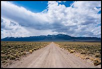 Gravel road. Basin And Range National Monument, Nevada, USA ( color)