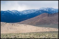 Foothills and snowy mountains, Mt Irish range. Basin And Range National Monument, Nevada, USA ( color)