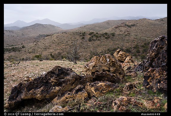 Volcanic rocks and Mt Irish range. Basin And Range National Monument, Nevada, USA (color)
