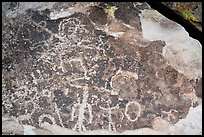 Rock art, Mt Irish Archeological district. Basin And Range National Monument, Nevada, USA ( color)