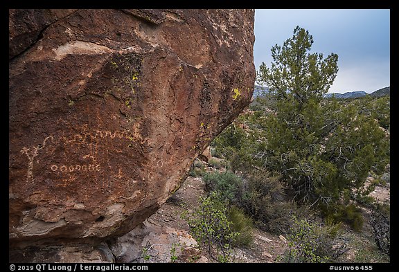 Volcanic boulder with rock art, Mt Irish. Basin And Range National Monument, Nevada, USA (color)