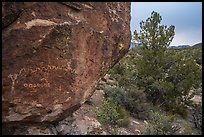 Volcanic boulder with rock art, Mt Irish. Basin And Range National Monument, Nevada, USA ( color)