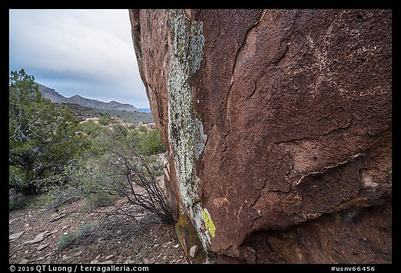 Boulder with rock art and Mt Irish range. Basin And Range National Monument, Nevada, USA (color)