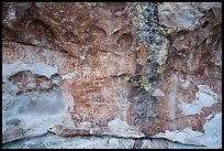 Rock with many petroglyphs, Mt Irish Archeological district. Basin And Range National Monument, Nevada, USA ( color)