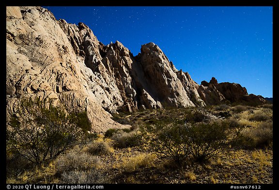 Whitney Pocket by moonlight. Gold Butte National Monument, Nevada, USA (color)
