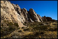 Whitney Pocket by moonlight. Gold Butte National Monument, Nevada, USA ( color)