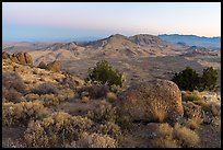 Tramp Ridge and Paradise Valley from Gold Butte Peak. Gold Butte National Monument, Nevada, USA ( color)