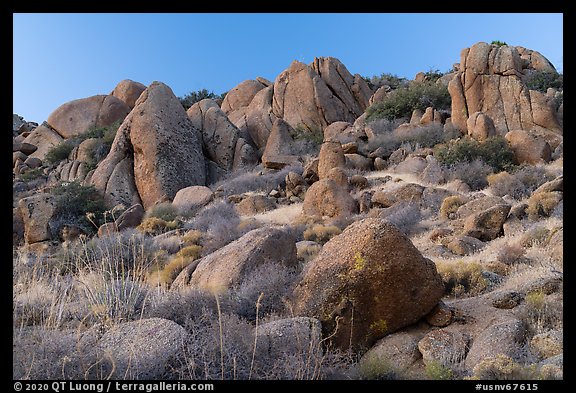 Boulders, Gold Butte Peak. Gold Butte National Monument, Nevada, USA (color)