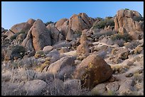 Boulders, Gold Butte Peak. Gold Butte National Monument, Nevada, USA ( color)