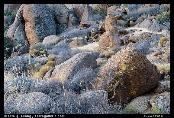 Boulders. Gold Butte National Monument, Nevada, USA (color)