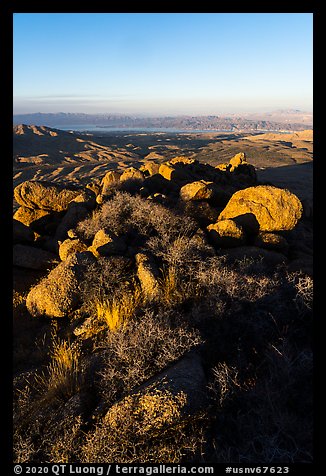 Srubs, boulders on Gold Butte Peak and Lake Mead. Gold Butte National Monument, Nevada, USA (color)