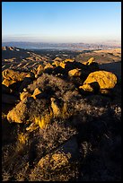 Srubs, boulders on Gold Butte Peak and Lake Mead. Gold Butte National Monument, Nevada, USA ( color)