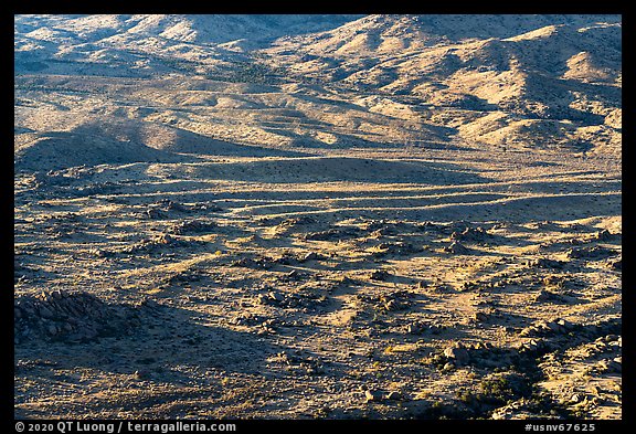 Cedar Basin, early morning. Gold Butte National Monument, Nevada, USA (color)