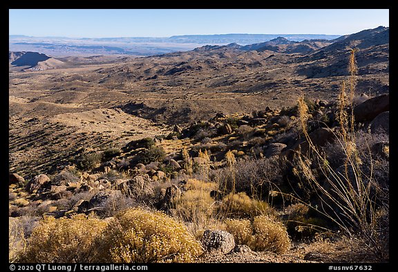 Looking north from Gold Butte Peak. Gold Butte National Monument, Nevada, USA