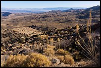 Looking north from Gold Butte Peak. Gold Butte National Monument, Nevada, USA ( color)