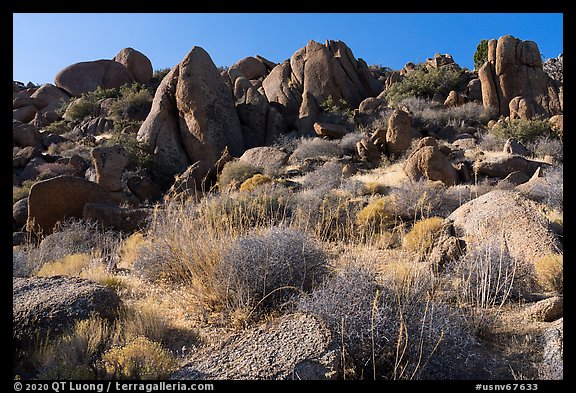 Ridge with boulders, early morning, Gold Butte Peak. Gold Butte National Monument, Nevada, USA