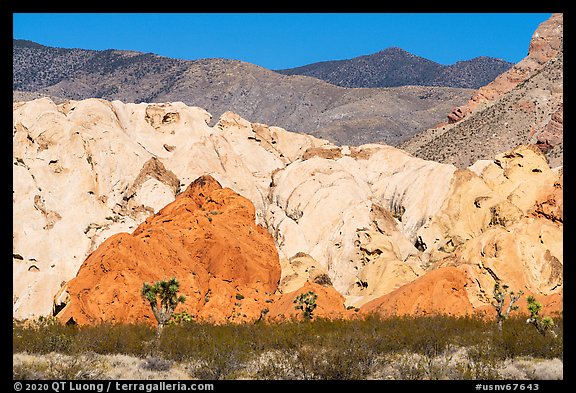 Colorful sandstone, Whitney Pocket. Gold Butte National Monument, Nevada, USA (color)