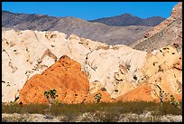 Colorful sandstone, Whitney Pocket. Gold Butte National Monument, Nevada, USA ( color)