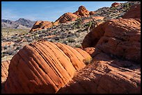 Red sandstone rocks, Whitney Pocket. Gold Butte National Monument, Nevada, USA ( color)