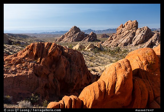 Aztec Sandstone formations, Whitney Pocket. Gold Butte National Monument, Nevada, USA (color)