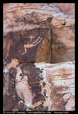 Rock wall with falling Man petroglyph. Gold Butte National Monument, Nevada, USA (color)