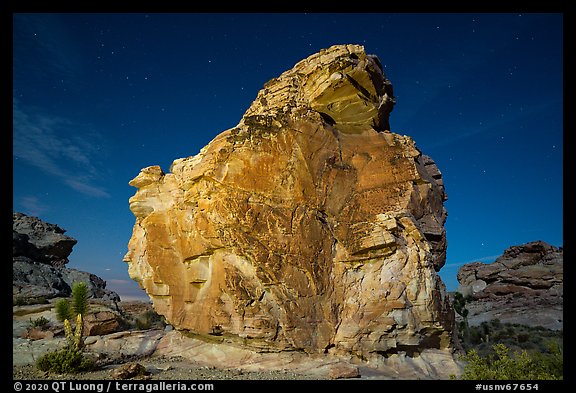 Calvin's Rock at night. Gold Butte National Monument, Nevada, USA (color)