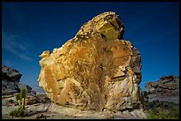 Calvin's Rock at night. Gold Butte National Monument, Nevada, USA ( color)