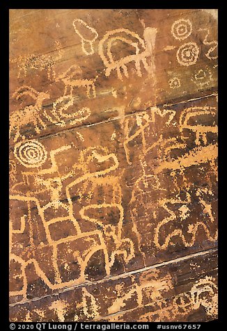 Petroglyph detail. Gold Butte National Monument, Nevada, USA (color)