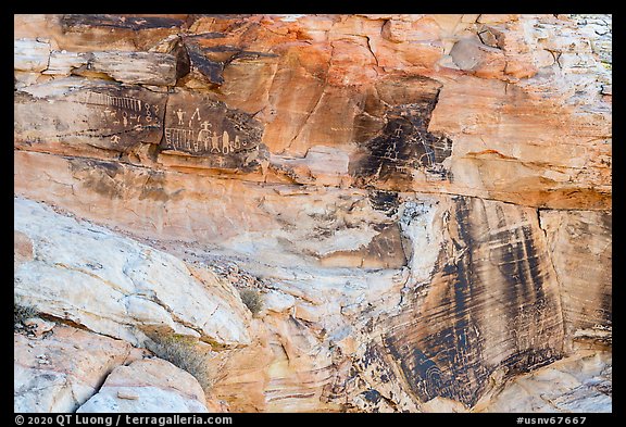 Cliff with petroglyph panels. Gold Butte National Monument, Nevada, USA (color)