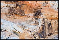 Cliff with petroglyph panels. Gold Butte National Monument, Nevada, USA ( color)