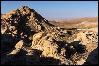 Rock outcrops, early morning. Gold Butte National Monument, Nevada, USA ( color)