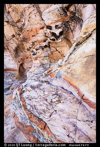 Detail of sandstone wall. Gold Butte National Monument, Nevada, USA (color)