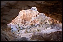 View through sandstone tunnel. Gold Butte National Monument, Nevada, USA ( color)