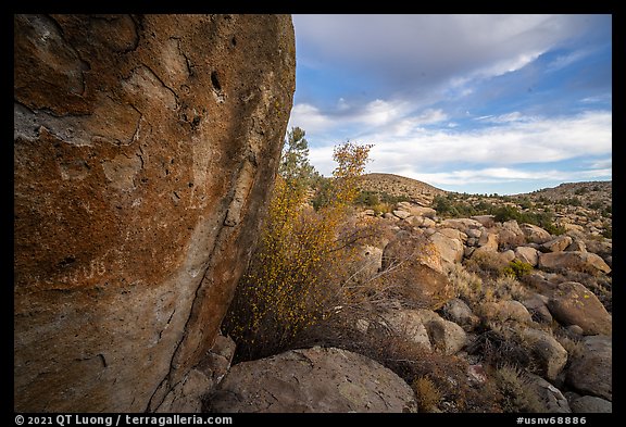 Pahranagat Man petroglyph on boulder and landscape, Shooting Gallery. Basin And Range National Monument, Nevada, USA (color)