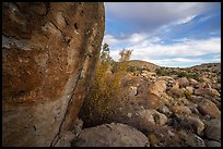 Pahranagat Man petroglyph on boulder and landscape, Shooting Gallery. Basin And Range National Monument, Nevada, USA ( color)